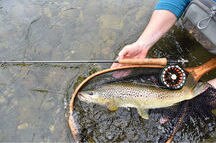 Trout fishing among tea estates Trout fishing among tea estates